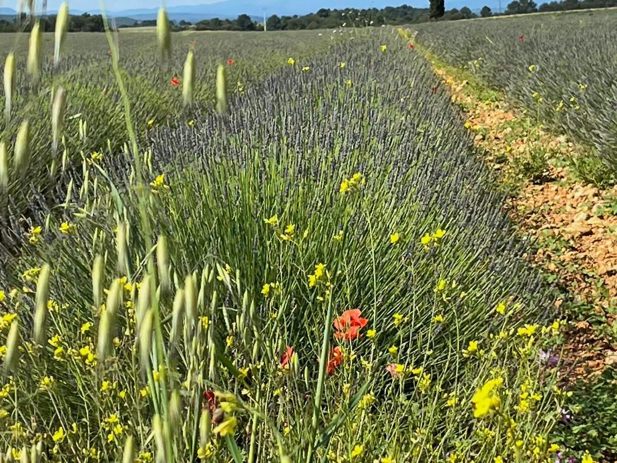 Gite Harmonie Gréoux-les-Bains