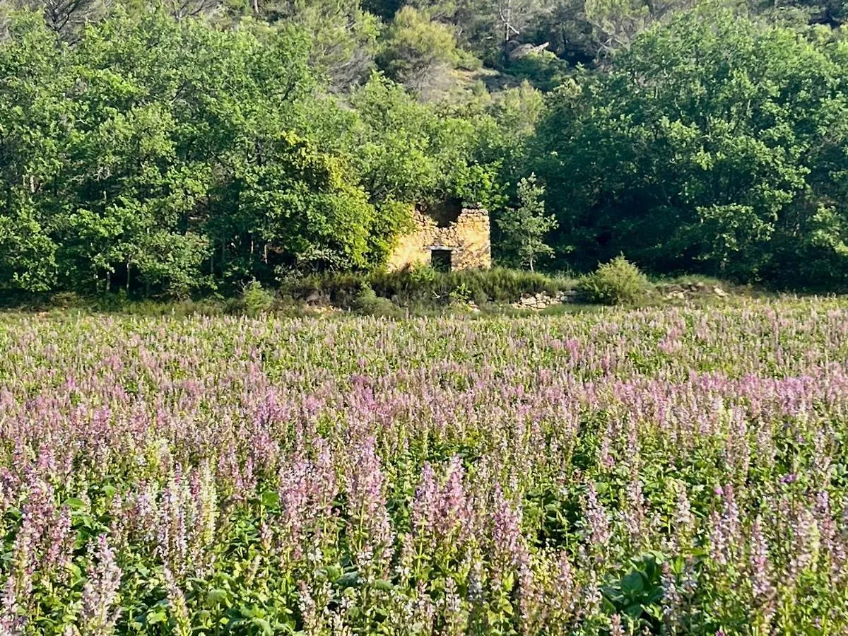 Appartamento Gite Harmonie Gréoux-les-Bains